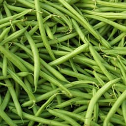 Green beans